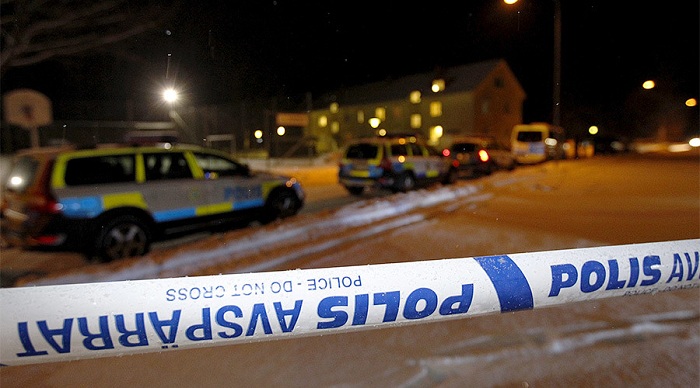 Rioters set cars on fire, loot shops in Stockholm suburb – police